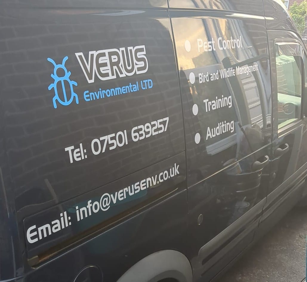 Verus branded van