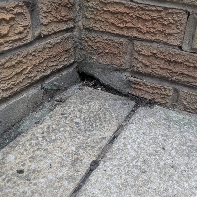 Hole in a wall from mouse ingress