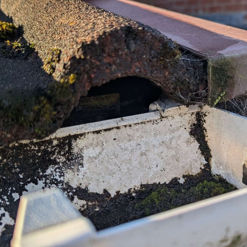 A gap in a roof where squirrels have entered