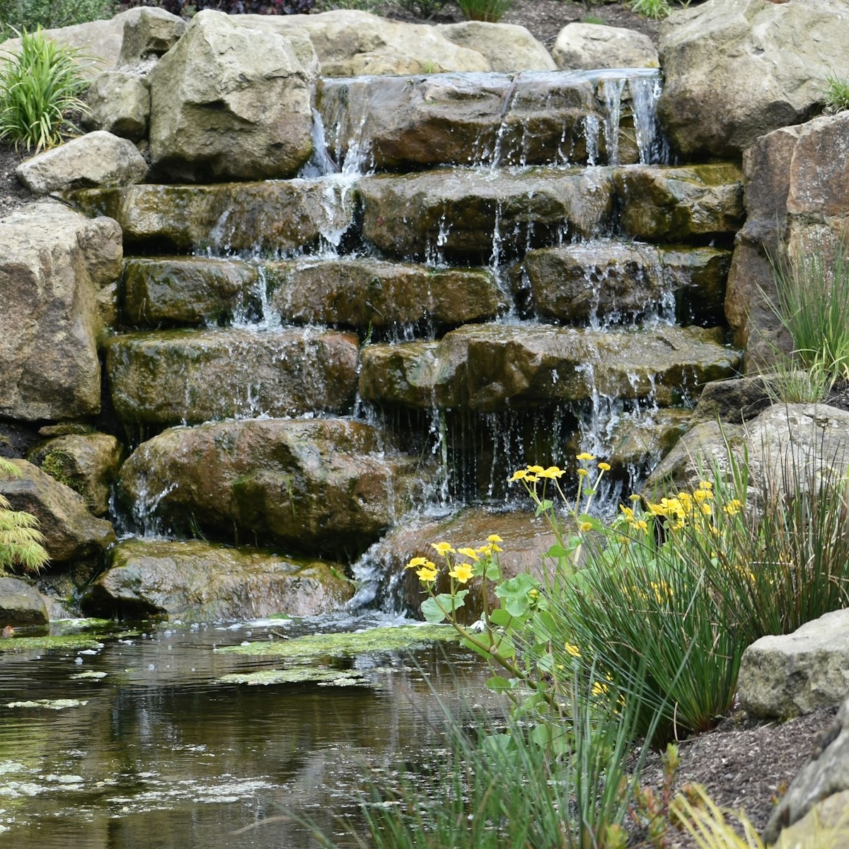 RHS garden at Worsley
